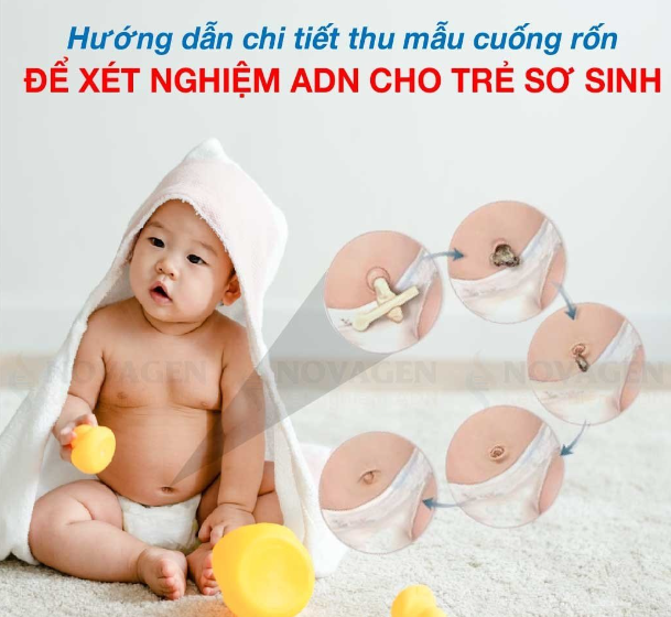 huong dan thu mau cuong ron xet nghiem adn