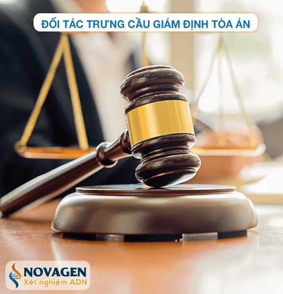 novagen la doi tac trung cau giam dinh toa an