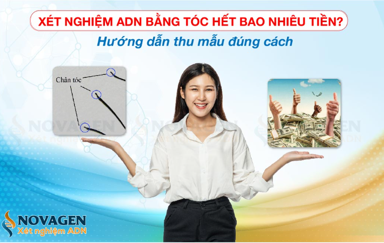 xet nghiem adn bang toc co chinh xac khong