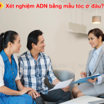 xet-nghiem-adn-bang-toc-o-dau-
