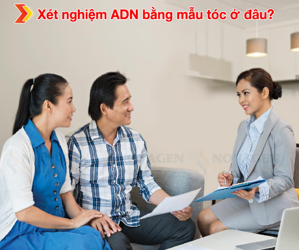 xet nghiem adn bang toc o dau